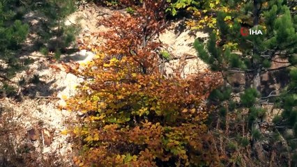 Gençler Cumhuriyetin 97. yılında zirvede buluştu