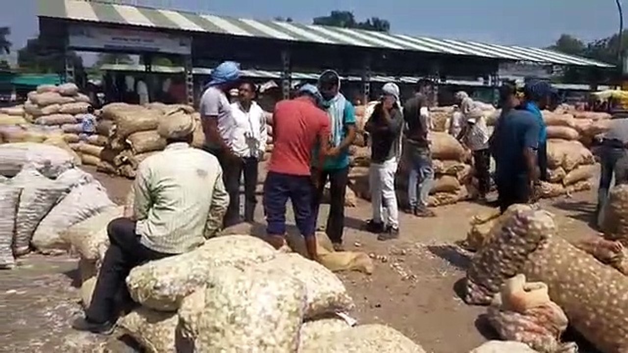 शाजापुर में प्याज के दाम हुए ₹45 किलो