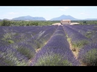 Pesticides, de la sensibilisation aux alternatives