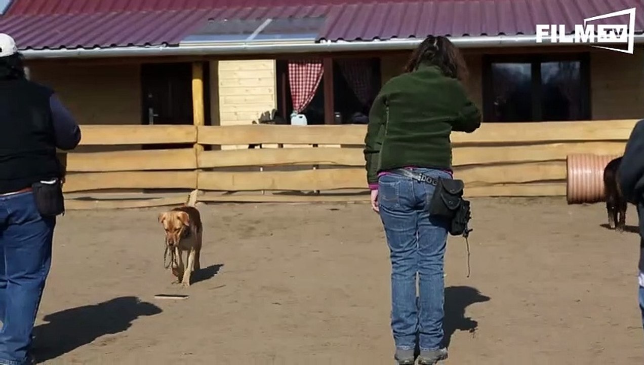 Underdog - Trailer - Filmkritik (2015) - Making Of
