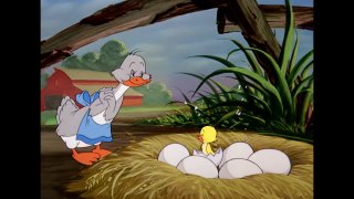 Tom and Jerry Best of Little Quacker Classic Cartoon