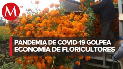 Floricultores piden apoyos por bajas ventas