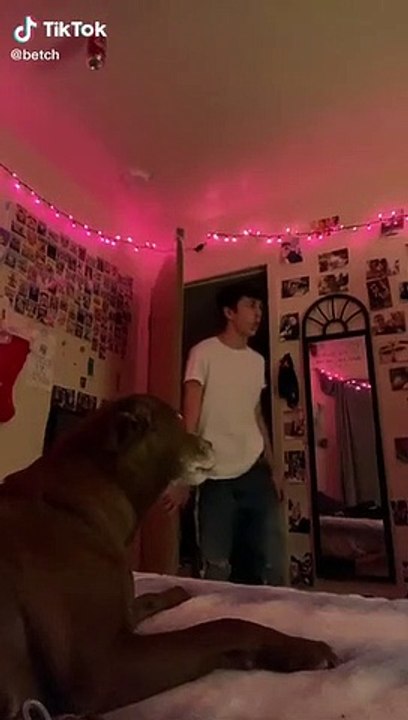 What did he say ?