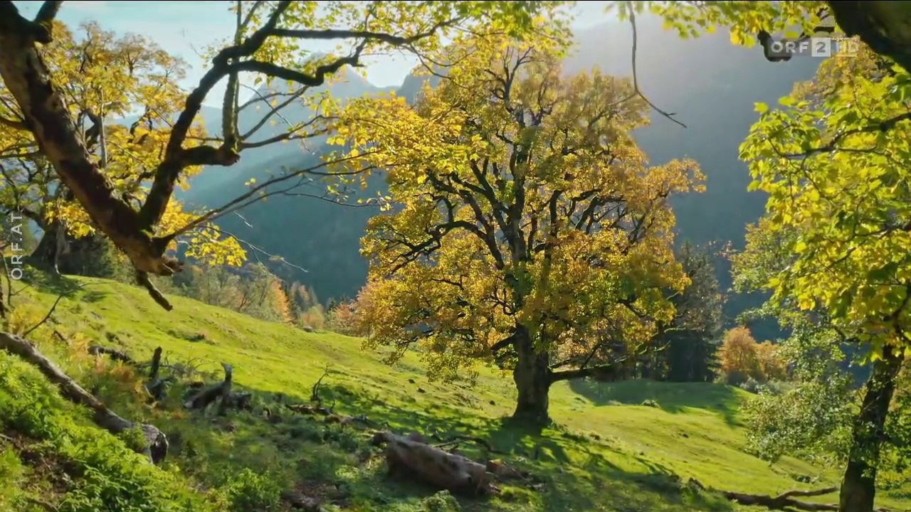 Universum - Hermann Maier - Meine Heimat - Der Bregenzerwald