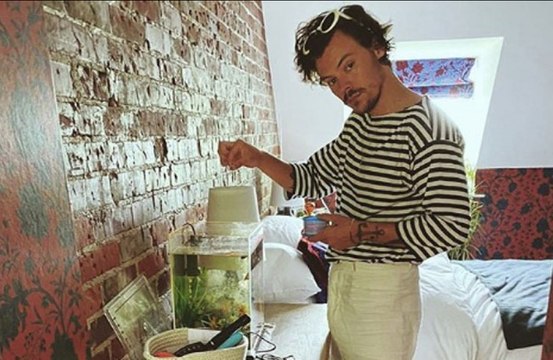 Styles' sweet surprise: Harry Styles surprises superfan after being welcomed to her home