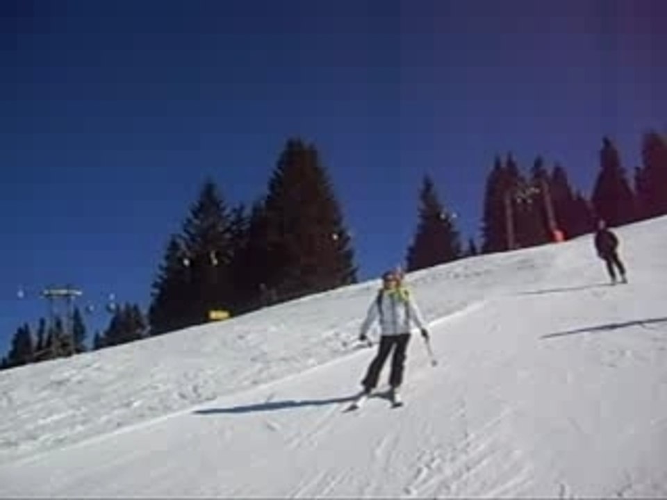 Ski
