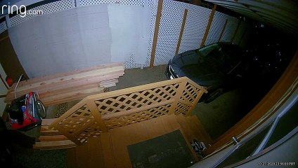 Bear Follows His Nose Right to Front Door