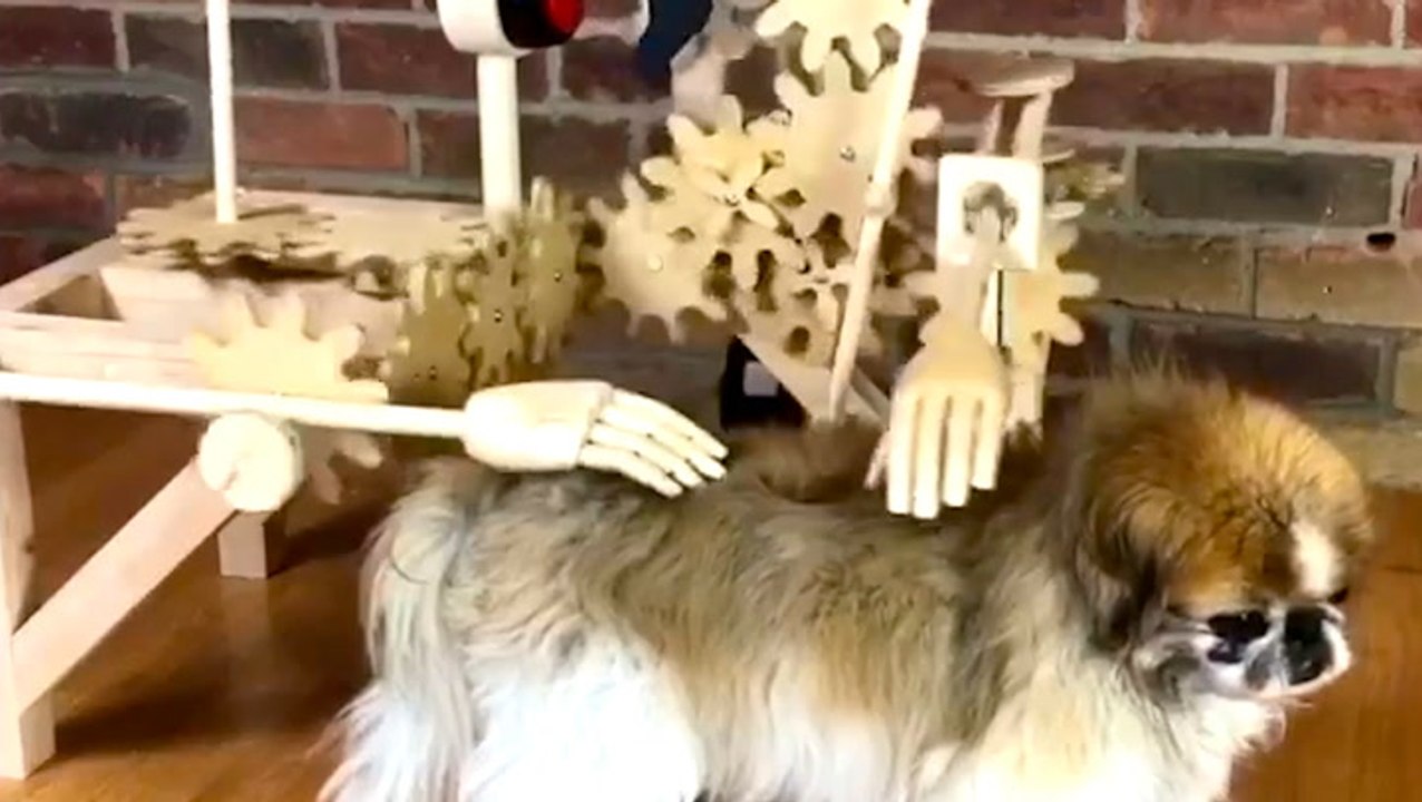 Woodworker builds machines that solve everyday problems