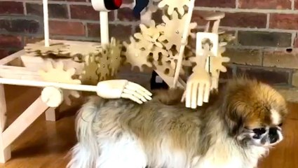 Woodworker builds machines that solve everyday problems