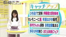 大野さん＆翔さん 年賀はがき販売開始セレモニー＠道産子