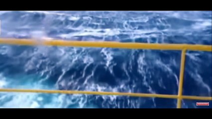 Ultimate Video Entertainment 🎬