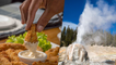 Man Gets Banned from Yellowstone After Frying Chicken in a Hot Spring