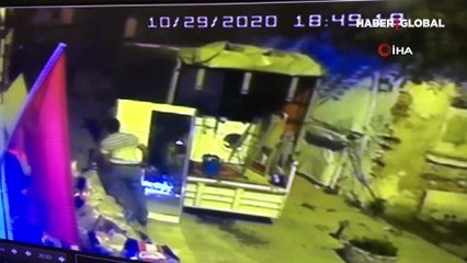 İstanbul'da mahalleyi ayağa kaldıran olay: "Kulübeye doğru gidip kediyi köpeğe atıyor, anında parçaladı"