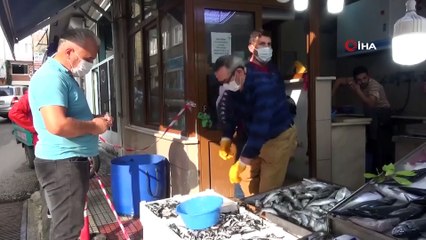 - Karadeniz hamsisi tezgahlarda