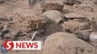 1,500-year-old imperial site of worship unearthed in Inner Mongolia