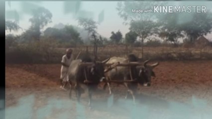 आप सभी के लिए एक प्यारी सी कहानी