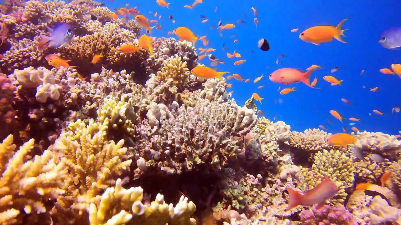 Herbstferien 2020 Tauchen 1. Tauchgang