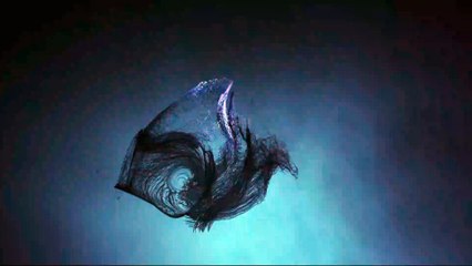 Octobre Numérique : Arles Garde le Cap