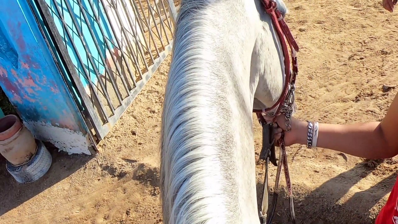 Herbstferien 2020 Reiten 1. Tag