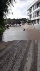 Deprem sonrası Seferihisar'da deniz taştı