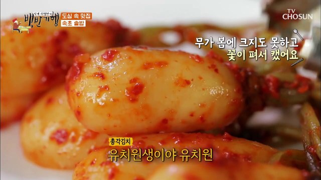 김치월드컵 【묵은지 VS 겉절이】 식객 허영만의 선택은?