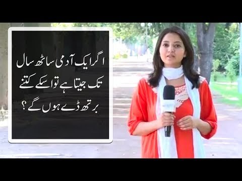 اگر ایک آدمی ساٹھ سال تک جیتا ہے تو اسکے کتنے برتھ ڈے ہوں گے؟