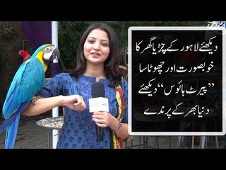 دیکھئے لاہور کےچڑیا گھر کا خوبصورت اورچھوٹا سا ’’پیرٹ ہائوس‘‘
