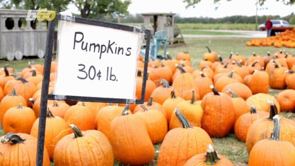 Tips And Tricks For Carving The Perfect Pumpkin This Halloween