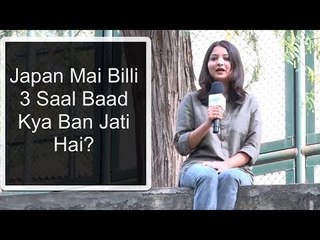 Japan Mai Billi 3 Saal Baad Kya Ban Jati Hai?