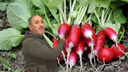 Est-ce prudent par les temps qui courent ?