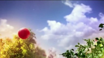 Tempesta d'amore - 14 ottobre 2020