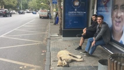 Georgia se prepara para elegir a su Parlamento mediante un nuevo sistema electoral