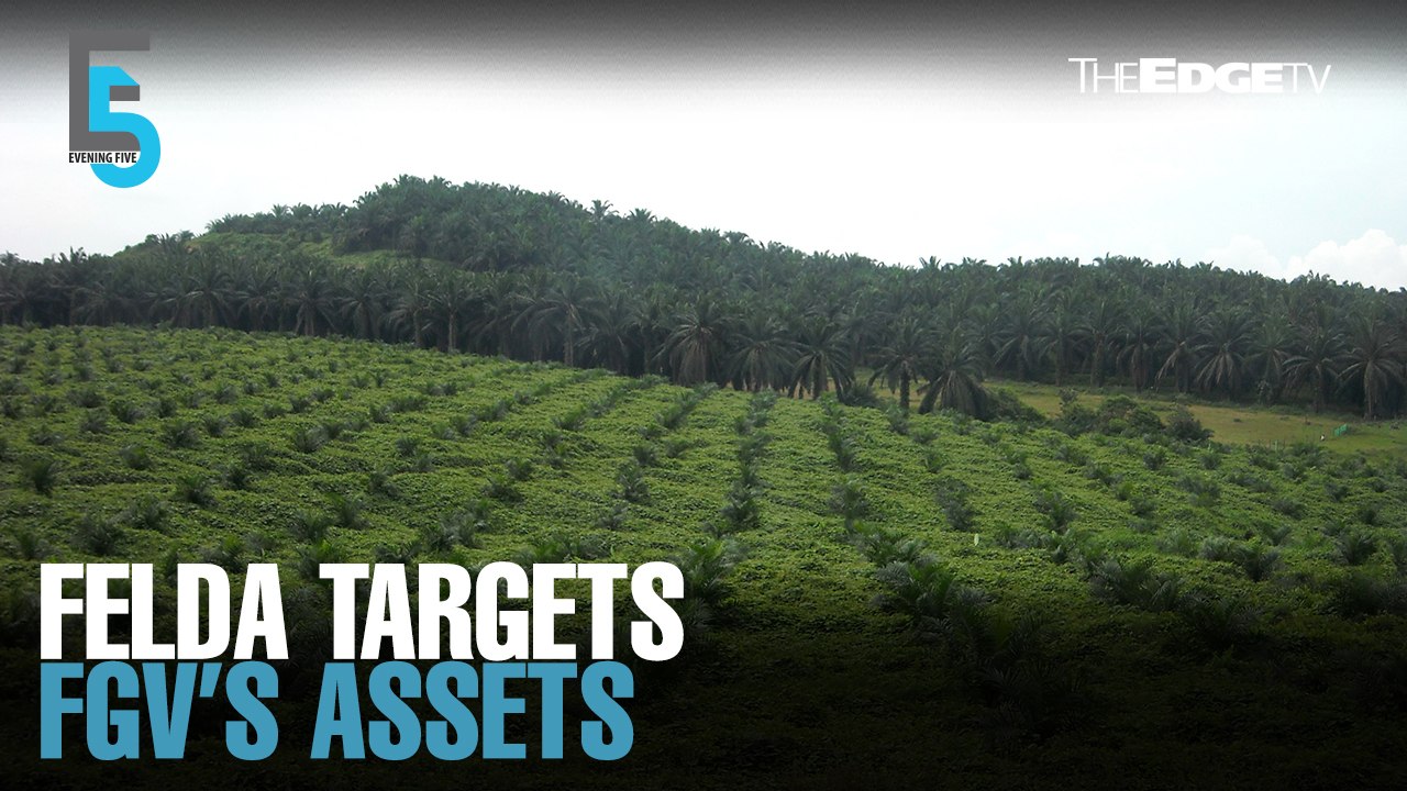 EVENING 5: Felda eyes FGV’s palm oil assets
