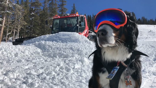 Ski resort prepares slopes