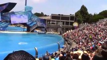 One Ocean (Full Show) at SeaWorld San Diego on 6-24-16