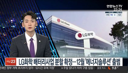LG화학, 배터리사업 분할 확정…12월 '에너지솔루션' 출범
