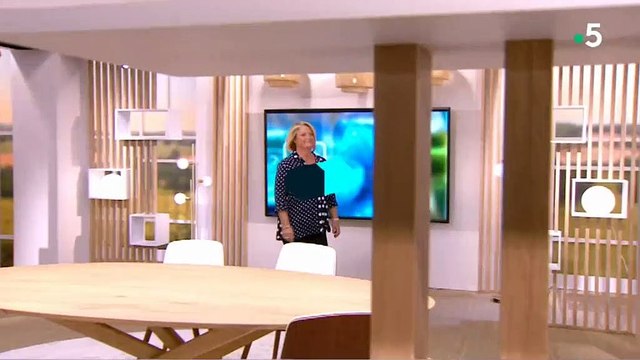 Générique du Magazine de la santé présenté par Marina Carrère d'Encausse sur France 5