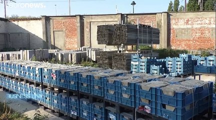 La deuxième vie des déchets, l'adrénaline des start-up et le miracle de Noël