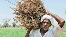 Ground report: Farmers, workers cry government's apathy in Bihar's Motipur