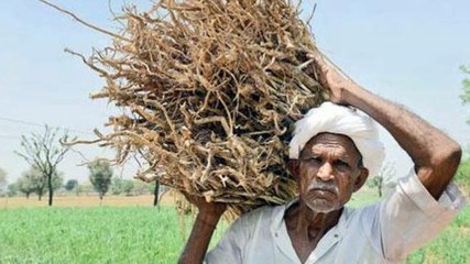 Ground report: Farmers, workers cry government's apathy in Bihar's Motipur