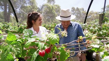 Gardening Australia episode 33 2020