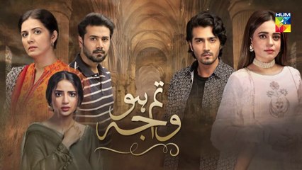 Tum Ho Wajah Episode 26 HUM TV Drama 30 October 2020
