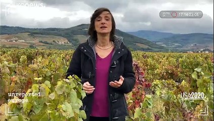 Donald Trump ou Joe Biden: quelle donne pour l'économie européenne?