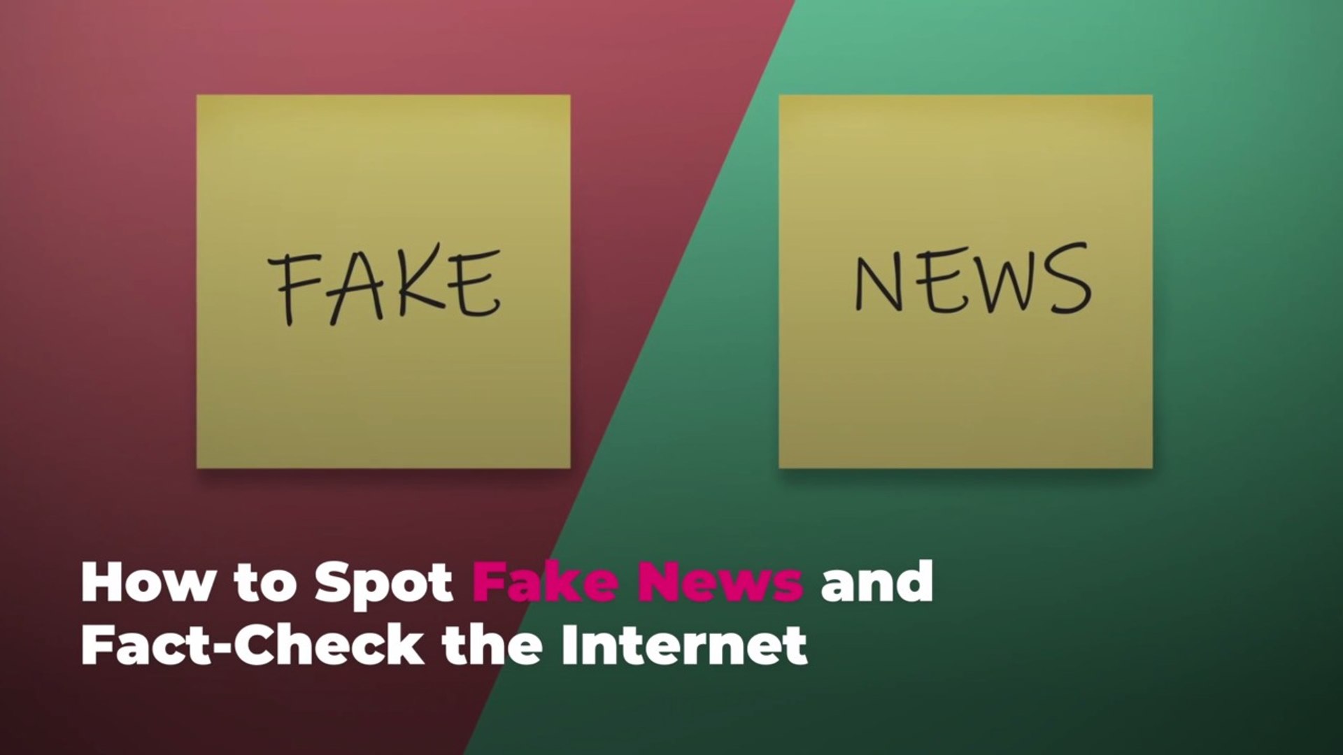 ⁣How to Spot Fake News and Fact-Check the Internet