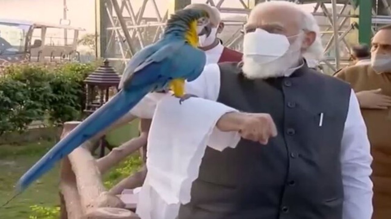 Image of the day: PM Narendra Modi plays with parrot during visit to Gujarat