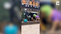 Ces chiens détestent leurs costumes d'Halloween