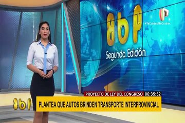 Auto circula por la Panamericana Sur con el techo repleto de césped