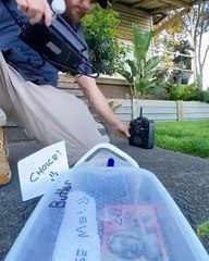 Il utilise un skateboard pour faire les courses à sa place