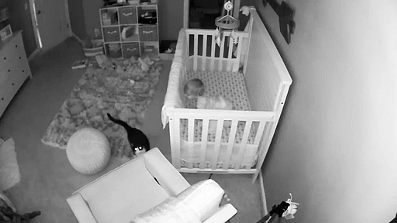 La tierna 'conversación' de un gato y un bebé