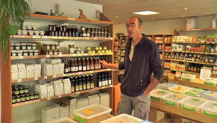 Un déjeuner sur l'herbe